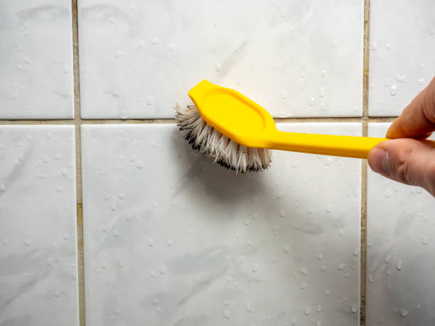 Best Mold Testing and Inspection Services in Chisholm, MN