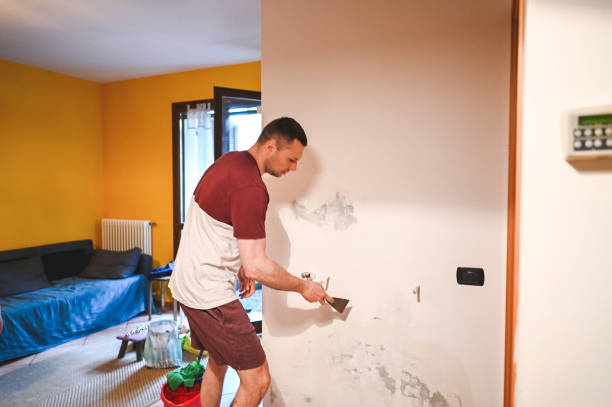 Professional Mold Remediation in Chisholm, MN